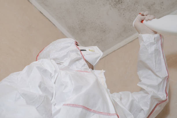 Best Home Mold Removal  in Springfield, TN